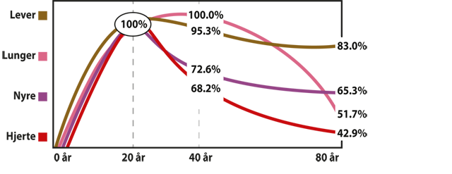 Illustration der viser det gradvise fald af Q10 i kroppens forskellige organer