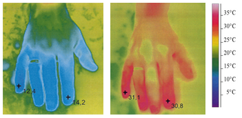Thermo photograph of a hand in cold water with Ginkgo