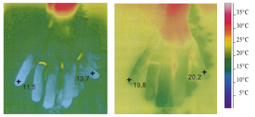 Thermo photograph of a hand in cold water without Ginkgo