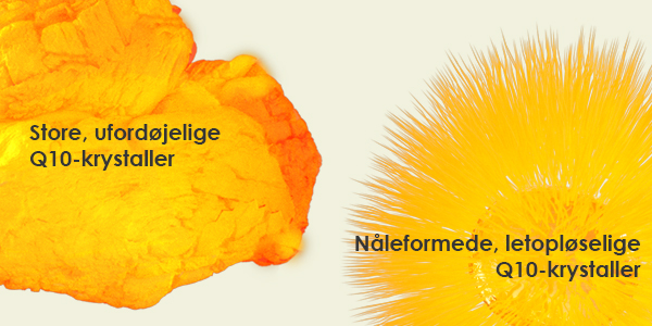 2 former for behandlet Q10, hvor Pharma Nords har den bedste optagelighed. 