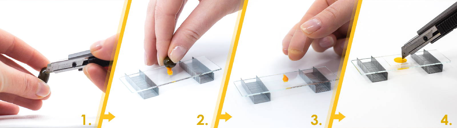 Step-by-step process of setting up the microscope and CoQ10 preparation Step-by-step process of setting up the microscope and CoQ10 preparation