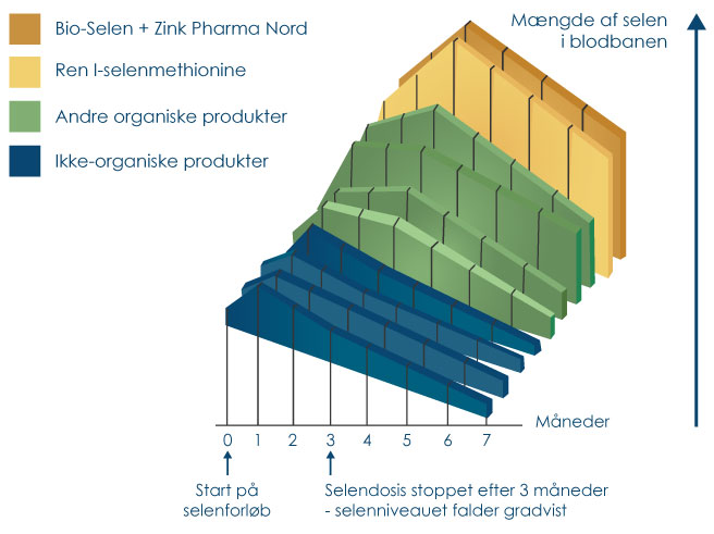 Sammenllignende graf af forskellige selenformer viser, at Pharma Nords selen har højeste optagelighed