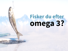 Omega 3 fra frisk fisk