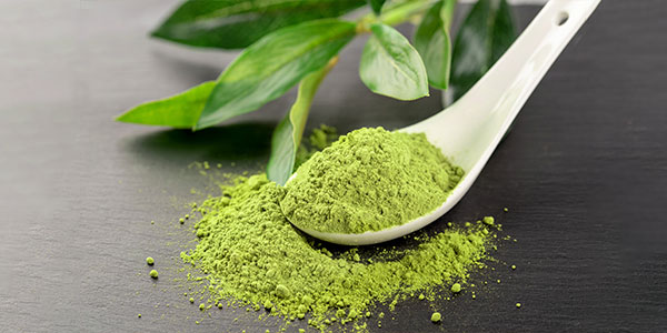 Green Tea Powder | Non-fermented powdered tea