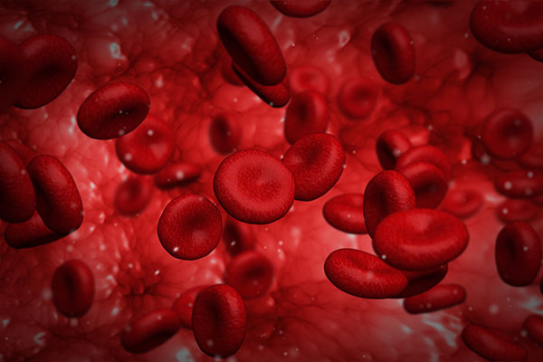 Red blood cells